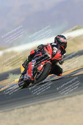 media/May-13-2023-SoCal Trackdays (Sat) [[8a473a8fd1]]/Turn 4 (820am)/